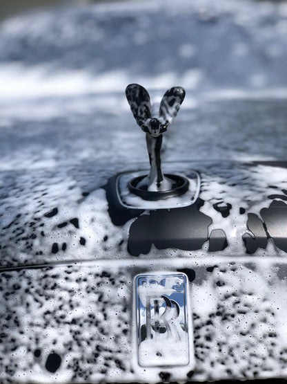 Premium Detailing